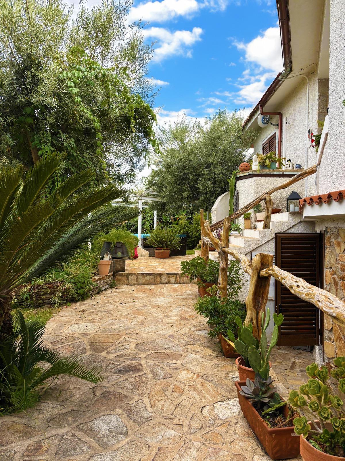 [ "GARDEN OASIS" // SAN TEODORO ]