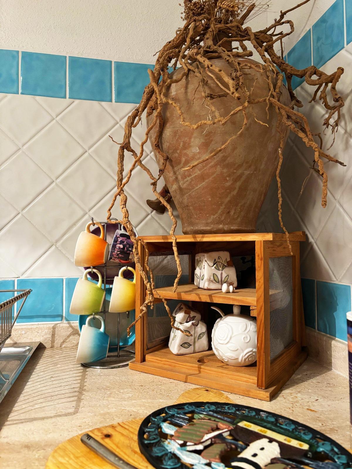 [ "GARDEN OASIS" // SAN TEODORO ]