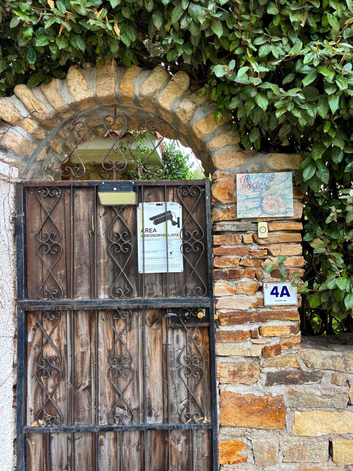 [ "GARDEN OASIS" // SAN TEODORO ]