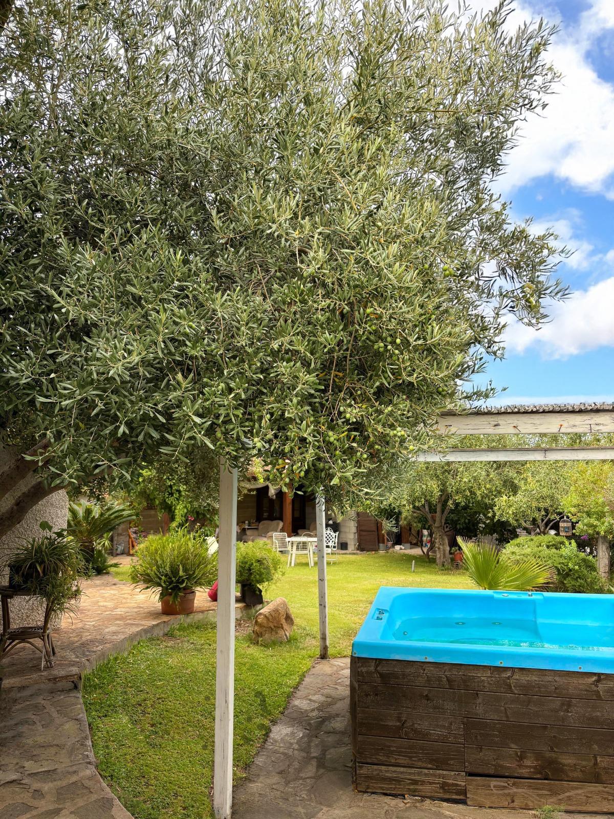 [ "GARDEN OASIS" // SAN TEODORO ]