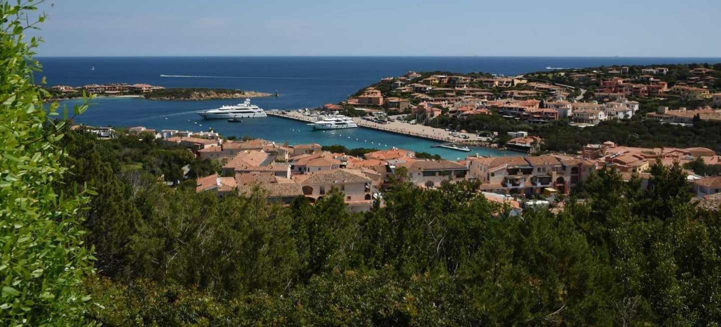 [ "VILLA PRESTIGE" // PORTO CERVO ]