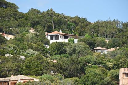 [ "VILLA PRESTIGE" // PORTO CERVO ]