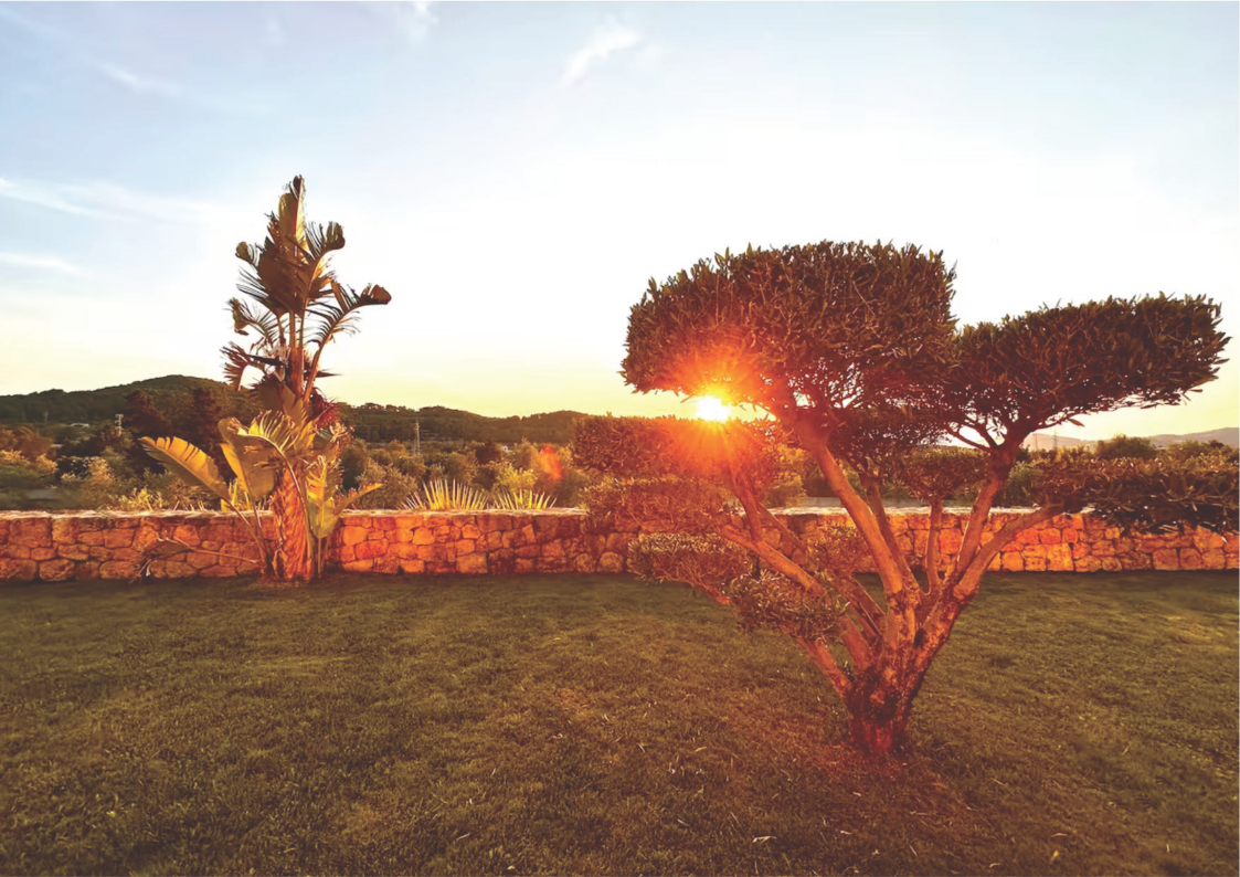 [ "VILLA HESPERO" // IBIZA ]