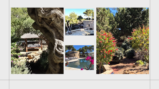 [ "VILLA MEDITERRANEA" // IBIZA ]