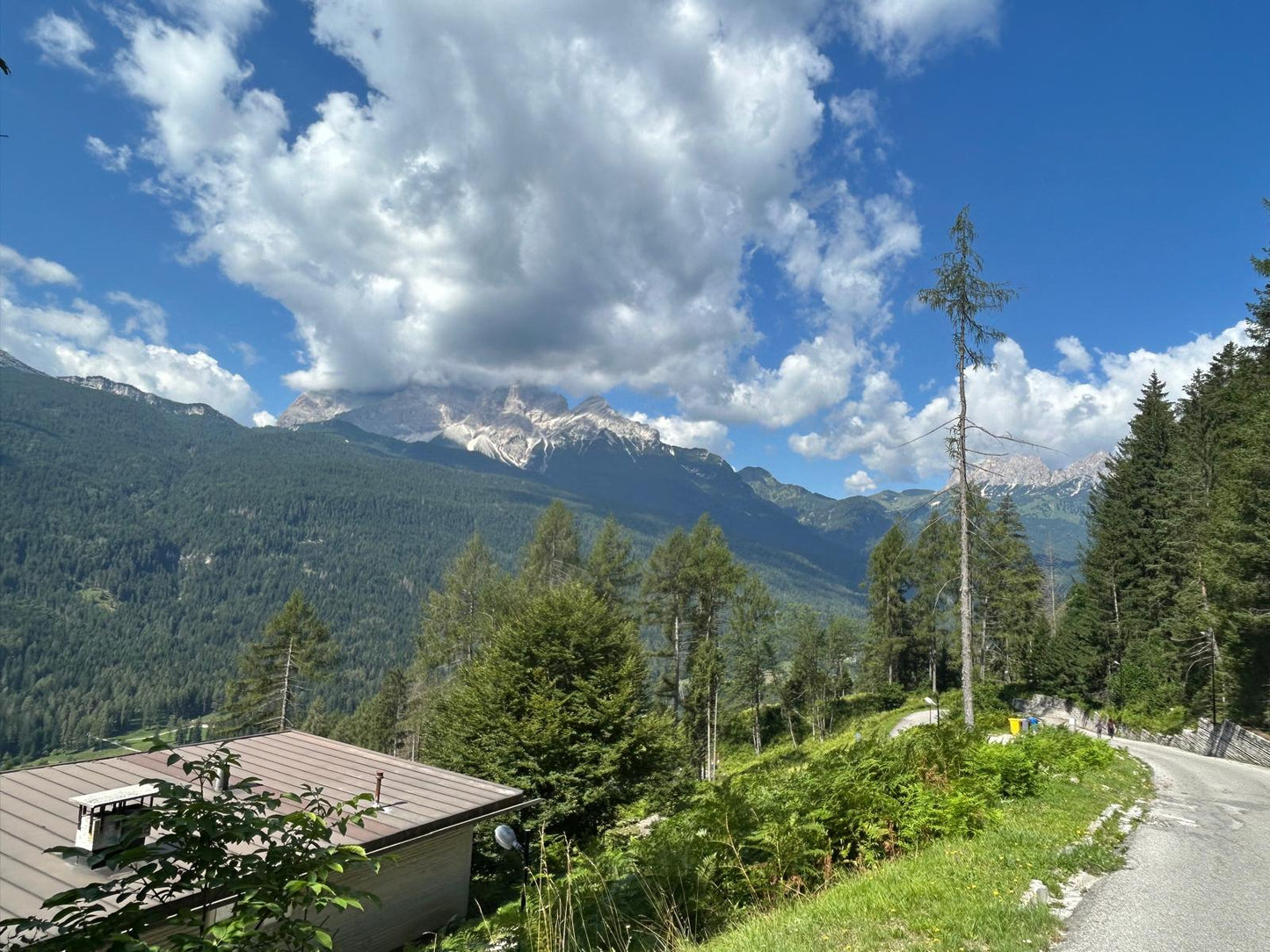 [ "CHALET FLO" // BORCA DI CADORE ]