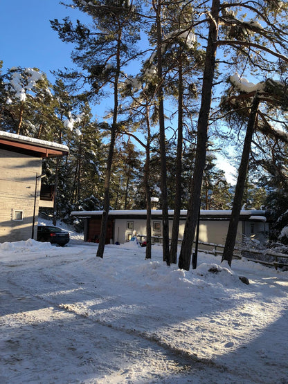 [ "CHALET FLO" // BORCA DI CADORE ]