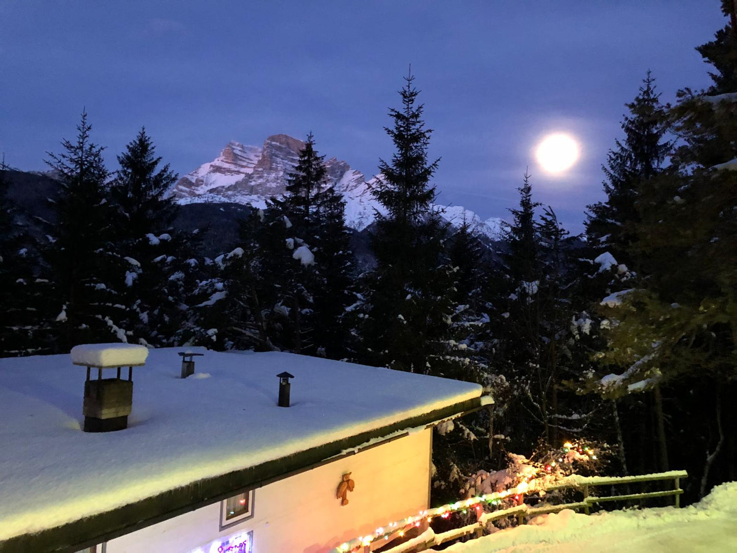 [ "CHALET FLO" // BORCA DI CADORE ]