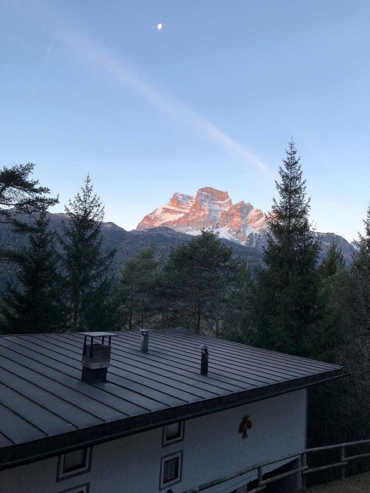 [ "CHALET FLO" // BORCA DI CADORE ]