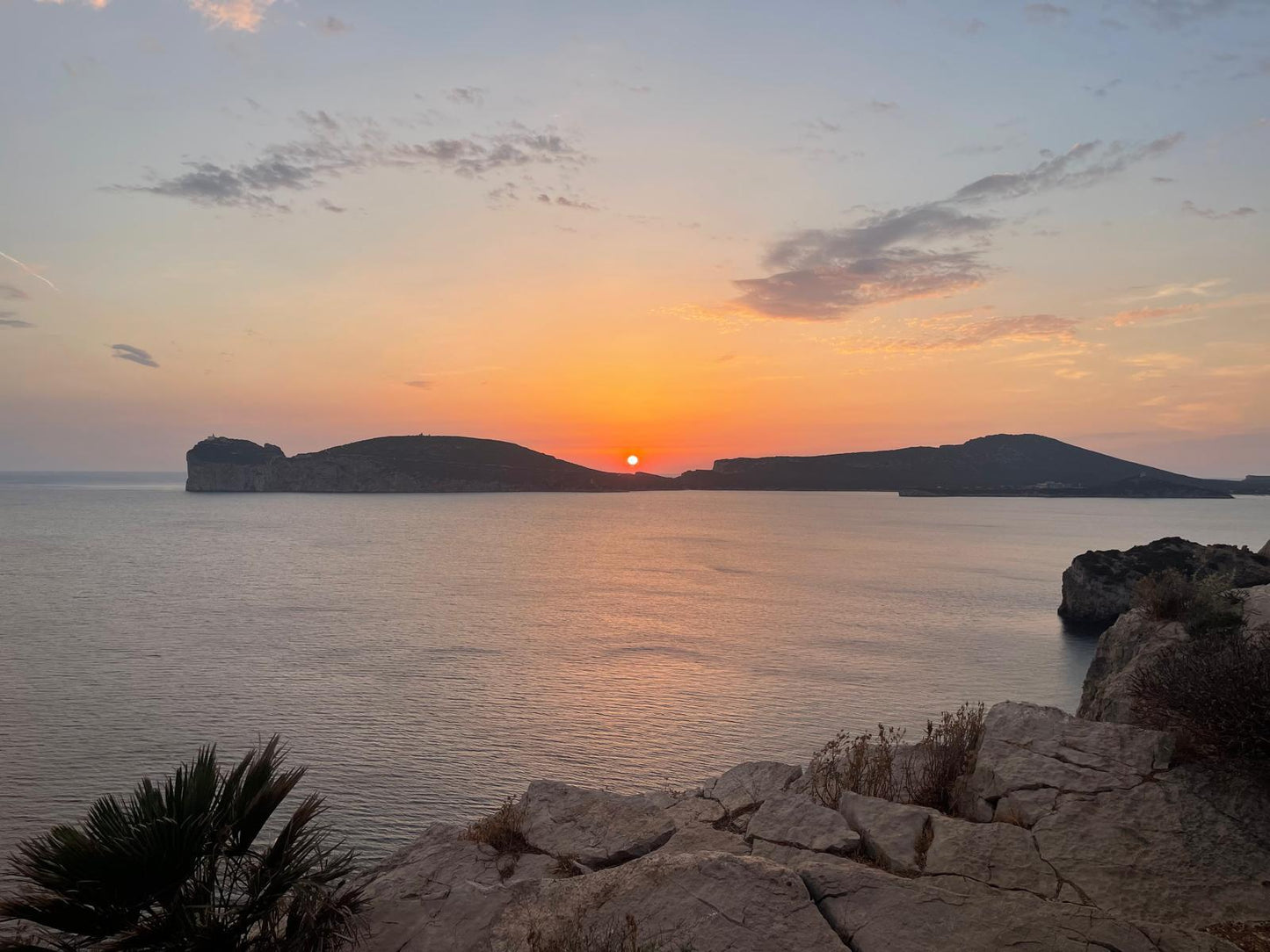 [ "TERRAZZA TRAMONTO" // ALGHERO ]
