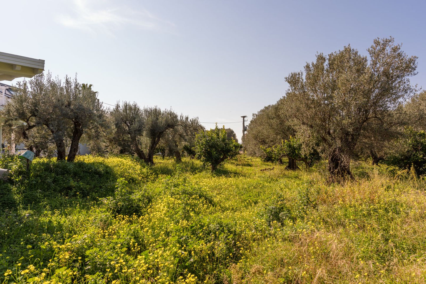 [ "VILLA SICILY APPARTAMENTO DEPANDANCE" // ACQUEDOLCI - MESSINA ]