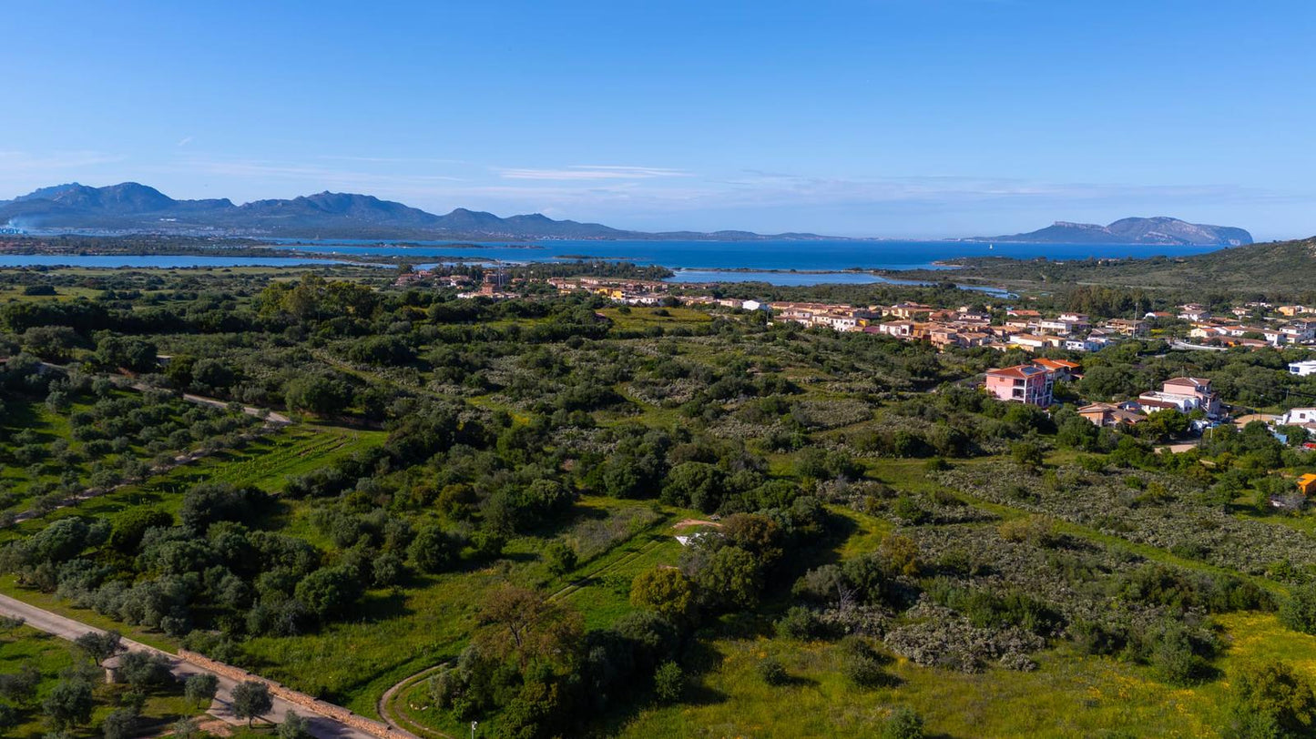 [ "APPARTAMENTO VERANDA" // OLBIA ]