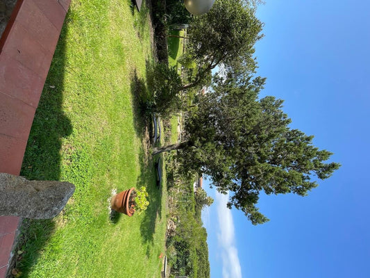 [ "VILLA PHI BEACH" VISTA MARE // BAJA SARDINIA ]