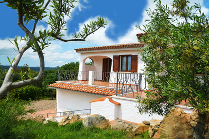 [ "VILLA OLIVASTRO" // ARZACHENA ]