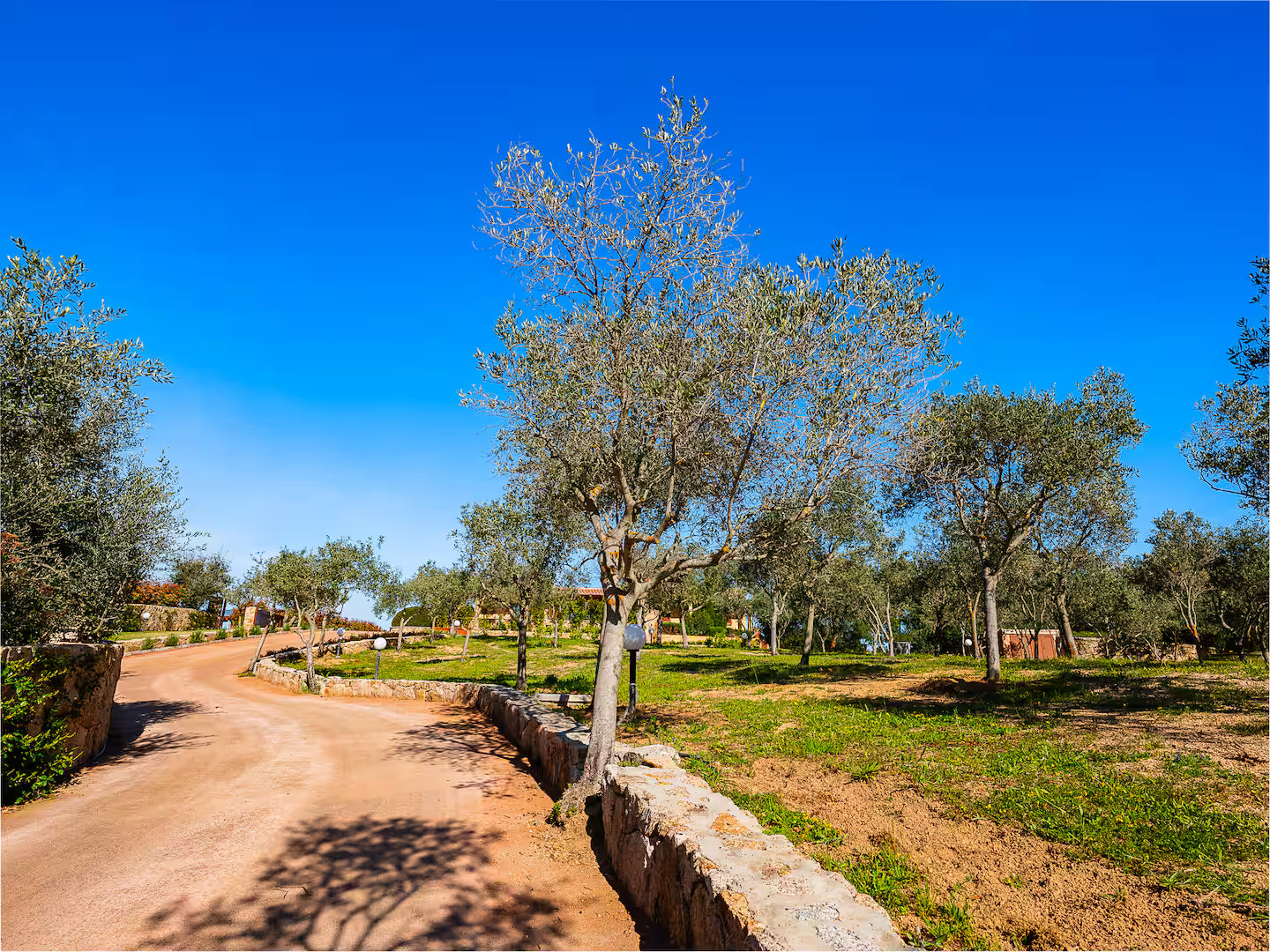 [ "VILLA SUGHERA" // OLBIA ]