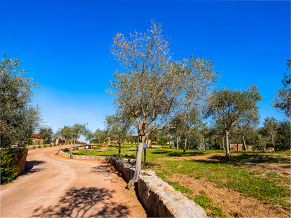 [ "VILLA SUGHERA" // OLBIA ]