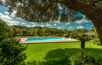 [ "VILLA LAVANDA" // ARZACHENA