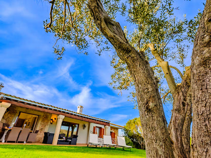[ "VILLA GINEPRO" // ARZACHENA ]