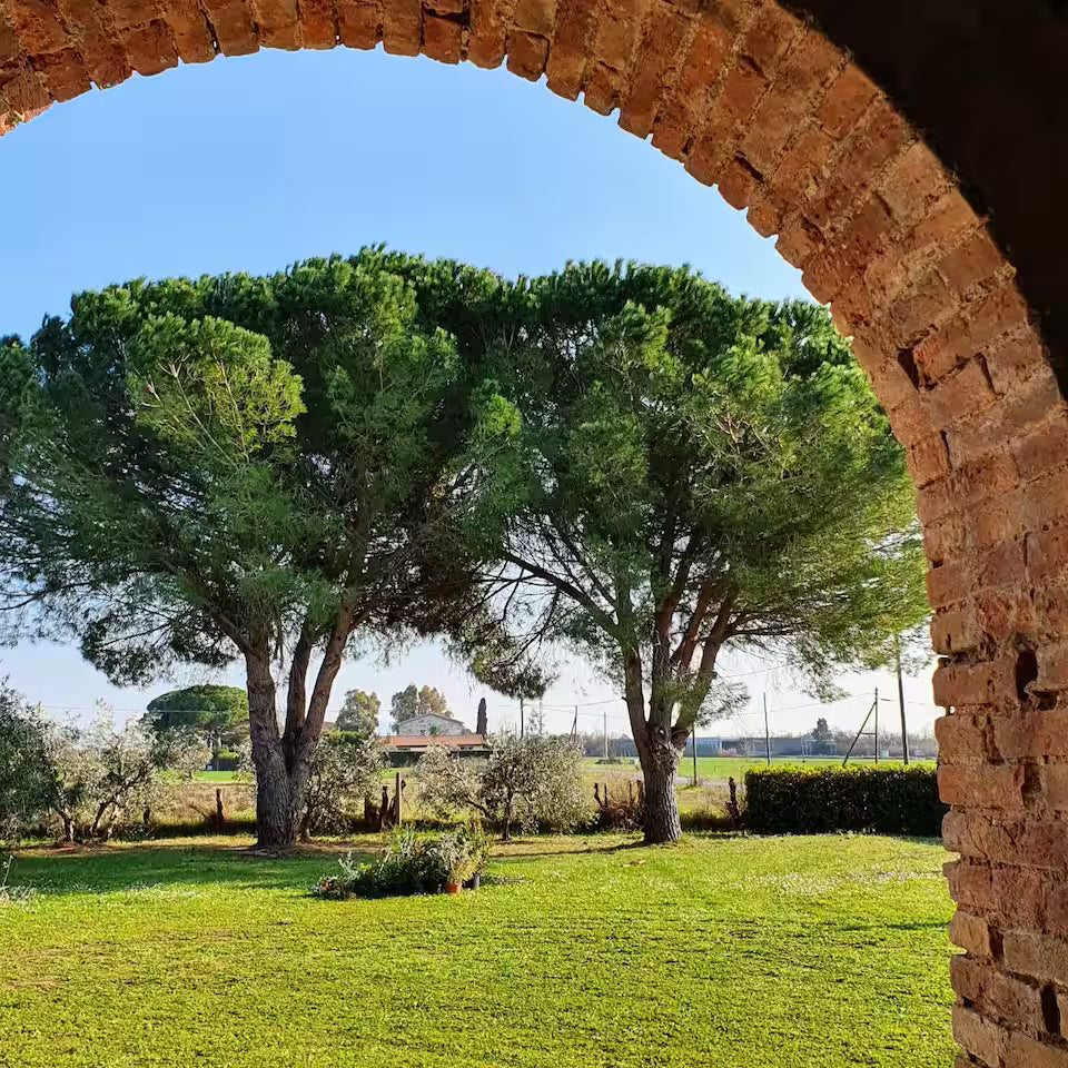 [ "CASALE DEGLI ULIVI" // ROSIGNANO MARITTIMO ]
