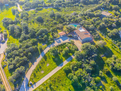 [ "VILLA OLIVASTRO" // ARZACHENA ]
