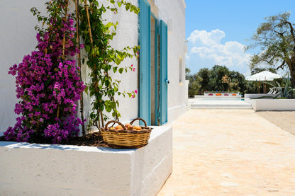 [ MASSERIA "NEL SOLE" // OSTUNI ]