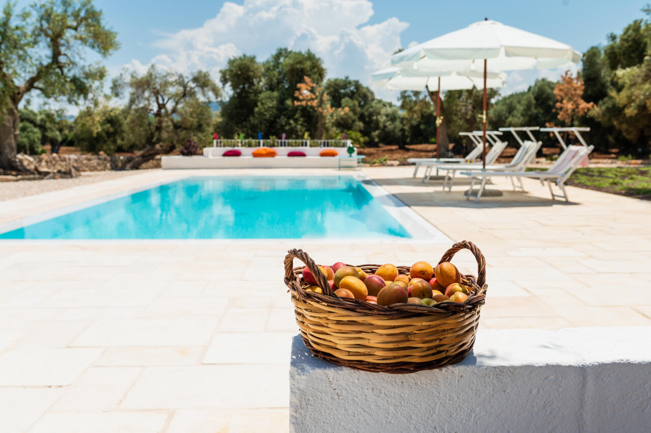 [ MASSERIA "NEL SOLE" // OSTUNI ]