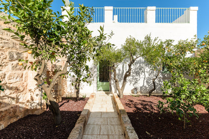 [ "MASSERIA ULIVETO" // OSTUNI ]