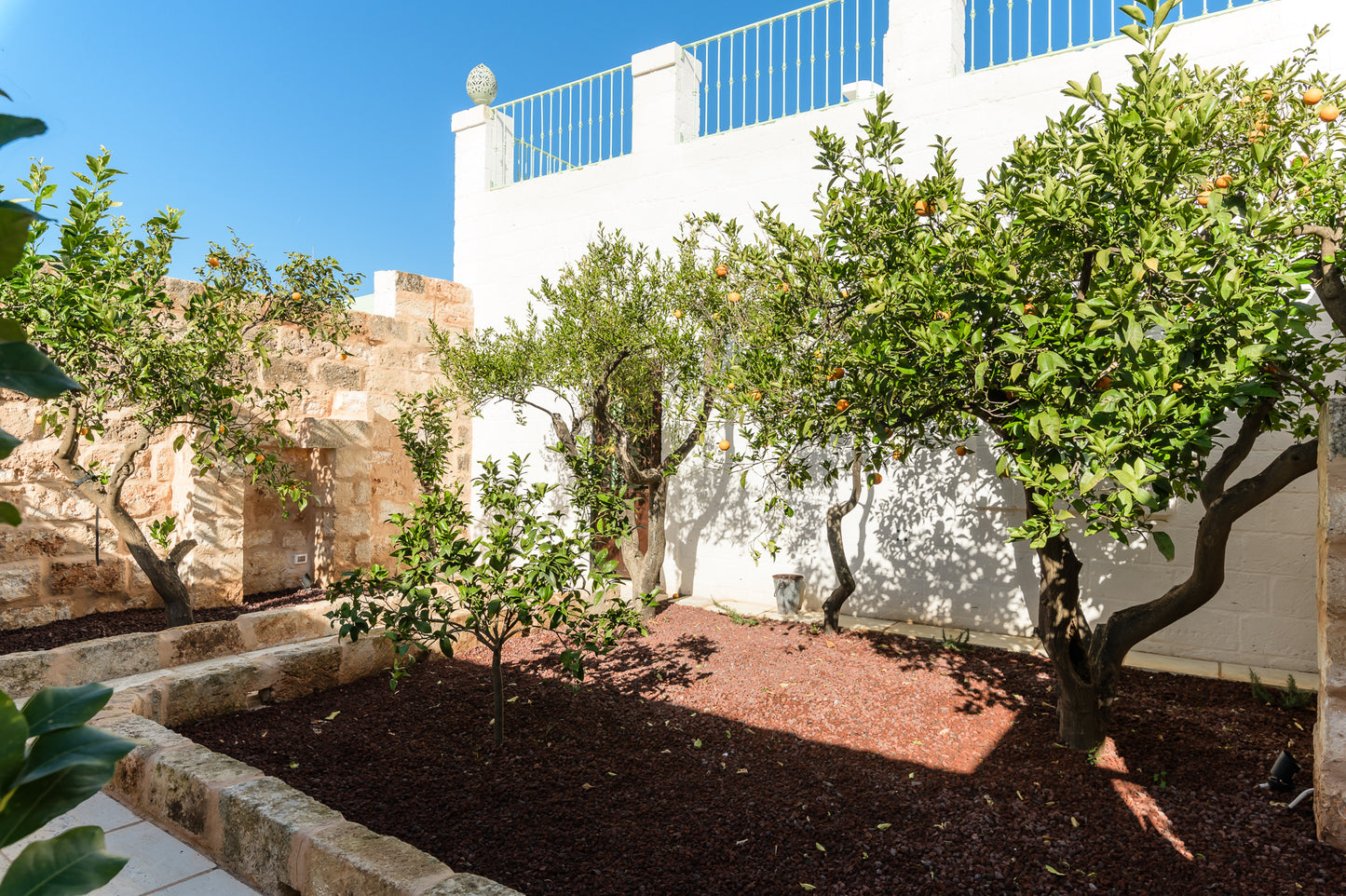 [ "MASSERIA ULIVETO" // OSTUNI ]