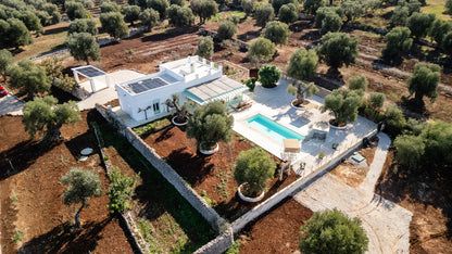 [ "MASSERIA ULIVETO" // OSTUNI ]