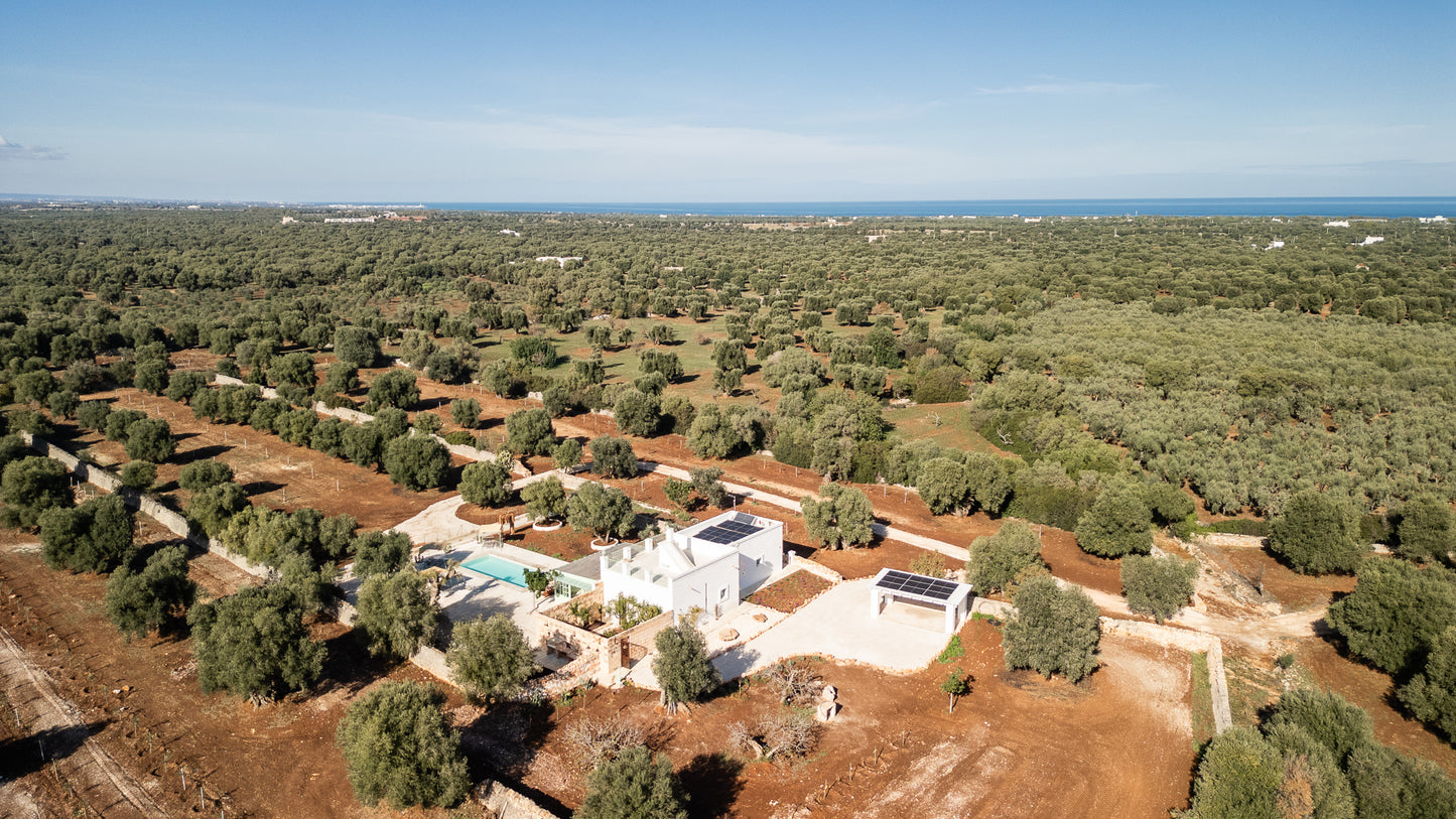 [ "MASSERIA ULIVETO" // OSTUNI ]