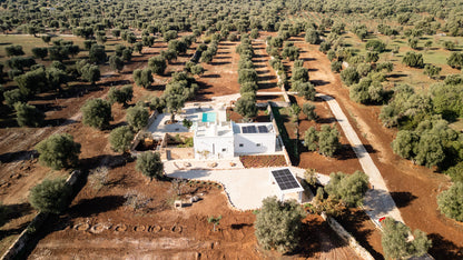 [ "MASSERIA ULIVETO" // OSTUNI ]