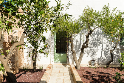 [ "MASSERIA ULIVETO" // OSTUNI ]