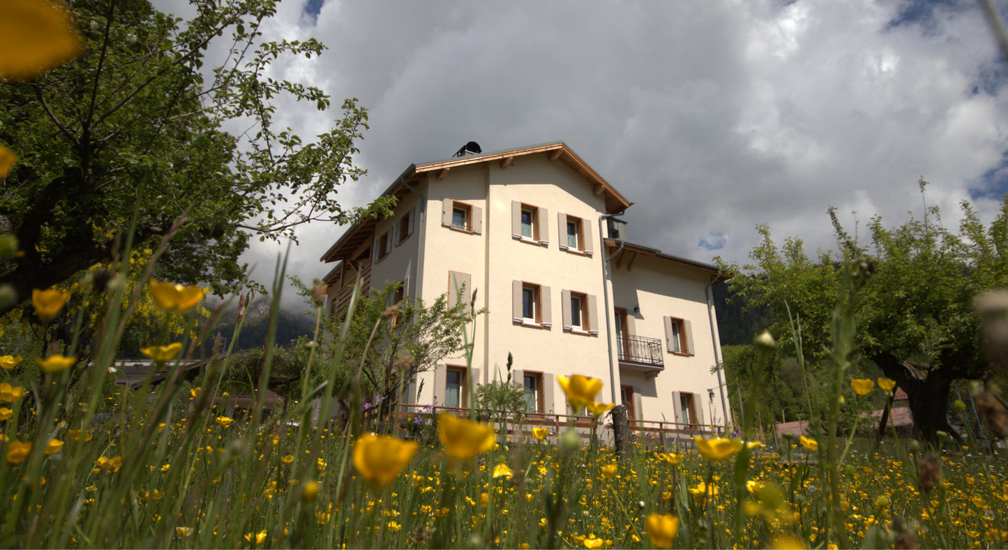 [ "APARTMENT LUNA ALTA" // PIEVE DI CADORE ]