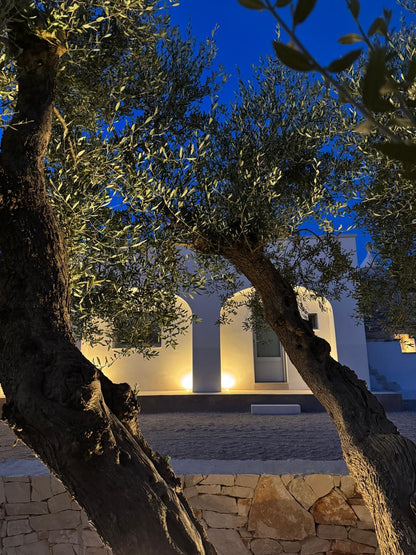 [ "TRULLI AL TRAMONTO" // NOCI ]