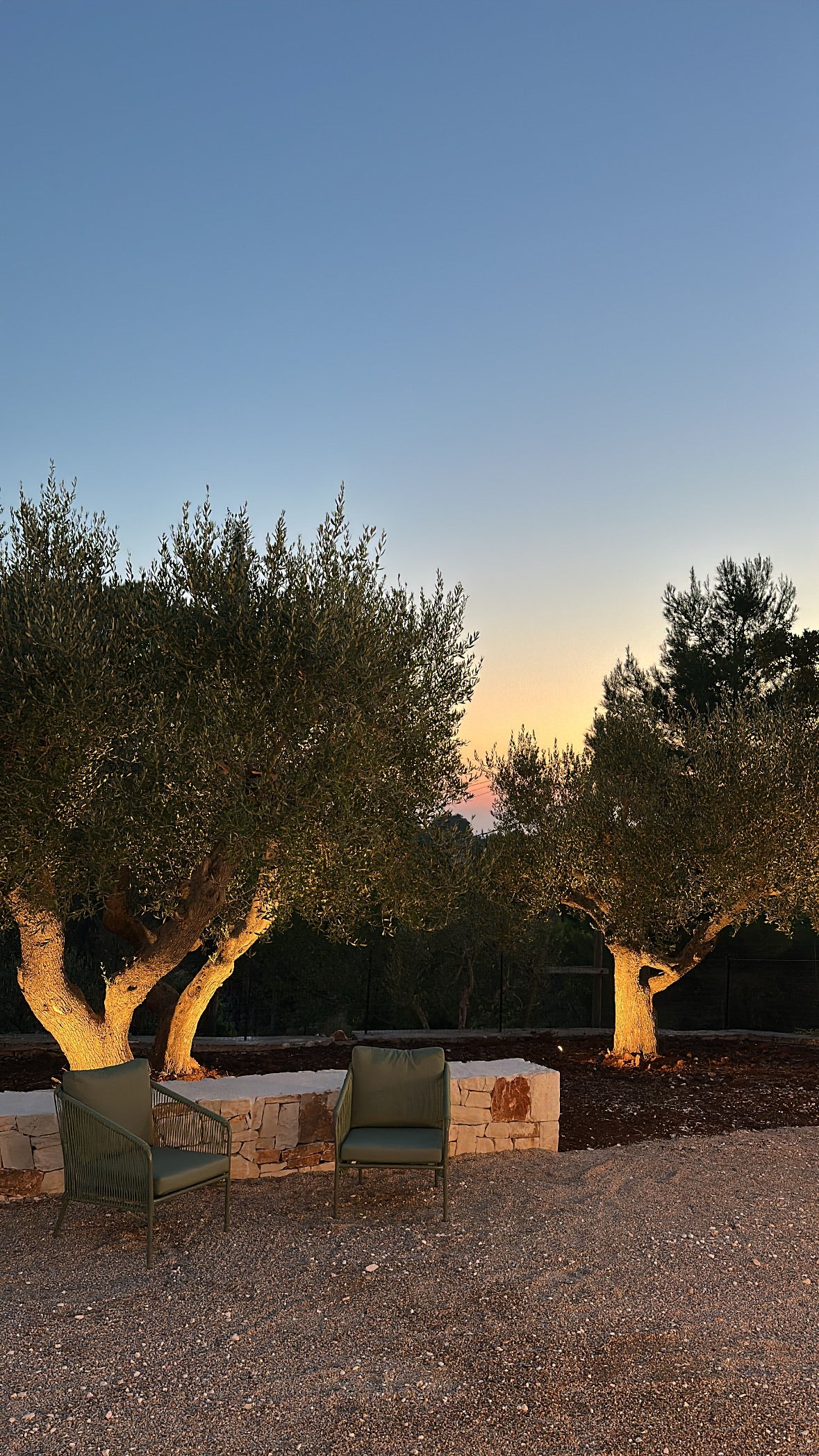 [ "TRULLI AL TRAMONTO" // NOCI ]