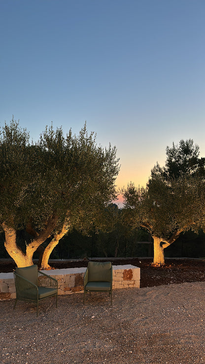 [ "TRULLI AL TRAMONTO" // NOCI ]